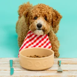 Cane Pet Bowls|Dog Bowls>Mason Cash Cane Lettered Dog Bowl 15cm