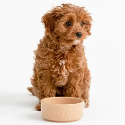 Cane Pet Bowls|Dog Bowls>Mason Cash Cane Lettered Dog Bowl 13cm