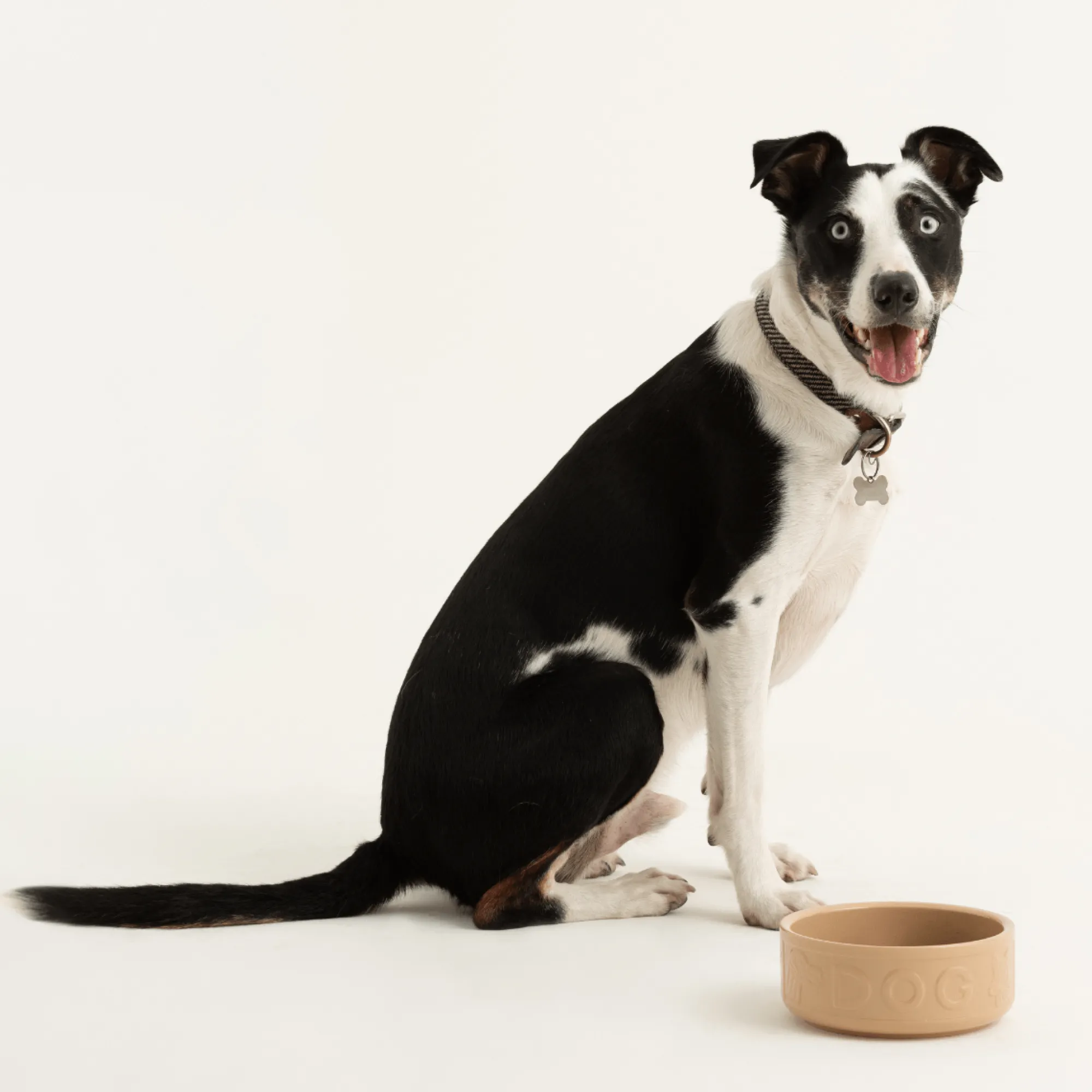 Cane Pet Bowls|Dog Bowls>Mason Cash Cane Lettered Dog Bowl 18cm