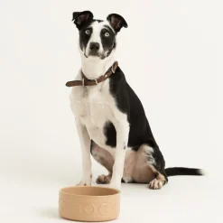 Cane Pet Bowls|Dog Bowls><noscript><img width=