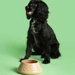 Cane Pet Bowls|Dog Bowls><noscript><img width=