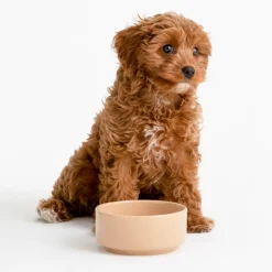 Cane Pet Bowls|Dog Bowls><noscript><img width=