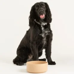 Cane Pet Bowls|Dog Bowls>Mason Cash Cane Pet Bowl 15cm
