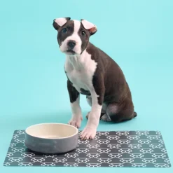 Decorated Pet Bowls|Dog Bowls>Mason Cash Colour Mix Grey Set Of 2 Dog Bowls 15cm