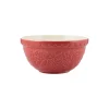 In The Forest Mixing Bowls>Mason Cash In The Forest S30 Red H/Hog Mixing Bowl 21cm