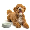 Decorated Pet Bowls|Dog Bowls>Mason Cash Linear Grey Set Of 2 Pet Bowls 15x5cm
