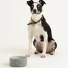 Decorated Pet Bowls|Dog Bowls>Mason Cash Polka Dot Grey Set Of 2 Dog Bowls 18cm