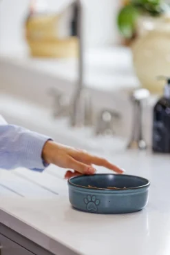 Decorated Pet Bowls|Dog Bowls><noscript><img width=