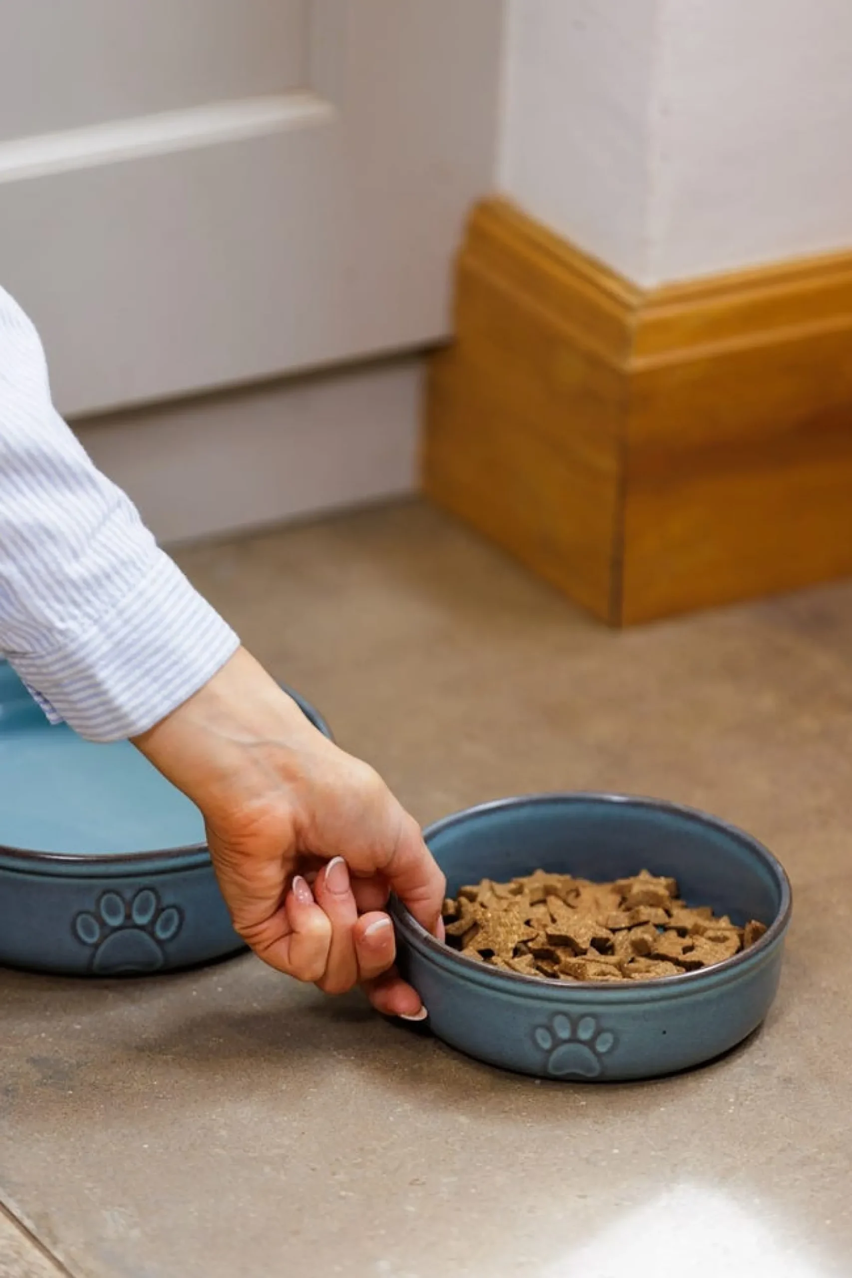 Decorated Pet Bowls|Dog Bowls>Mason Cash Reactive Paw 15x5cm Bowl